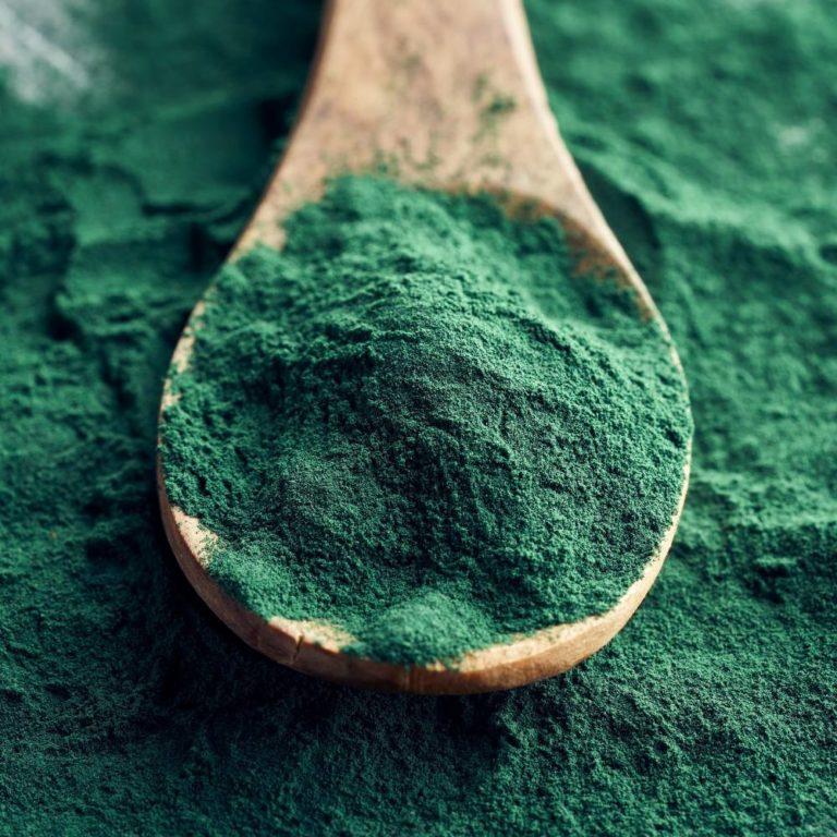 Les Bienfaits De La Spiruline Sur Les Cheveux Le Mag Naturavignon