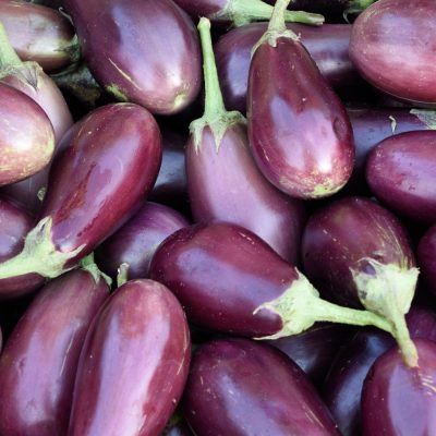 aubergine