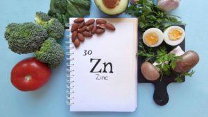 Aliments riches en zinc