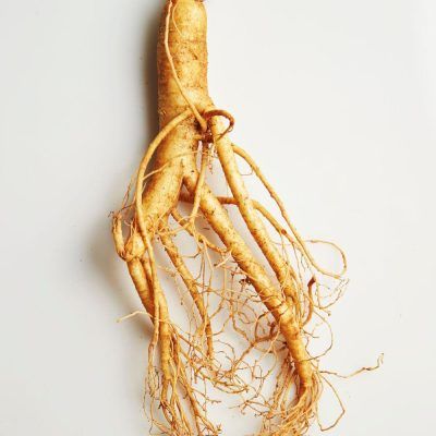 ginseng