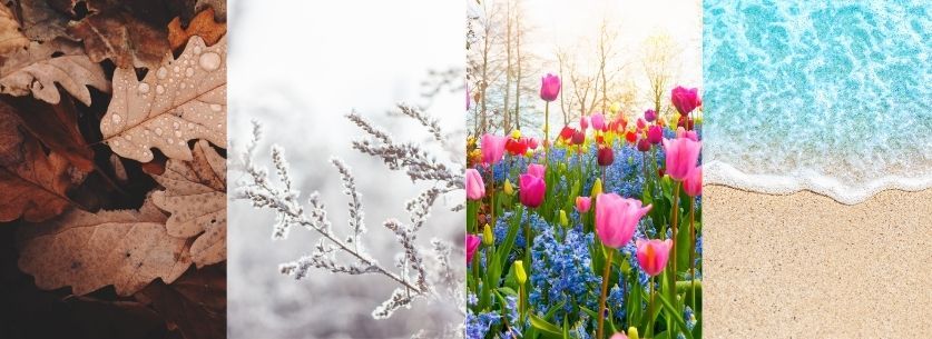 4-saisons-automne-hiver-printemps-ete