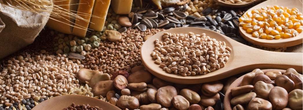 cereales-proteines-ble-sarasin-millet