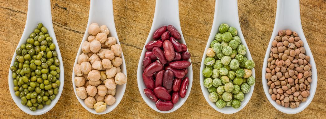 legumineuse-lentilles-haricots-petit-poid-proteines-vegetales