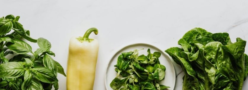 aliment-feuilles-vertes-bon-pour-le-cerveau
