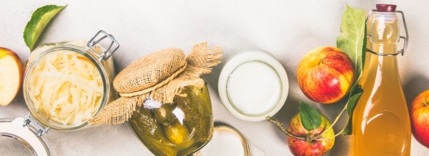 aliments riches-en probiotique-digestion