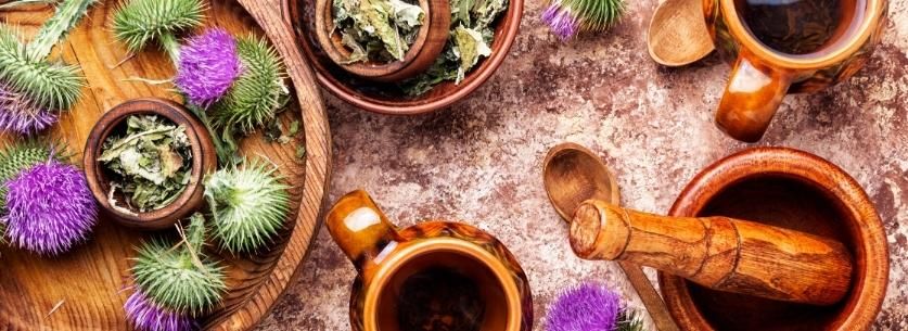 chardon-marie-detox-hepatique-foie