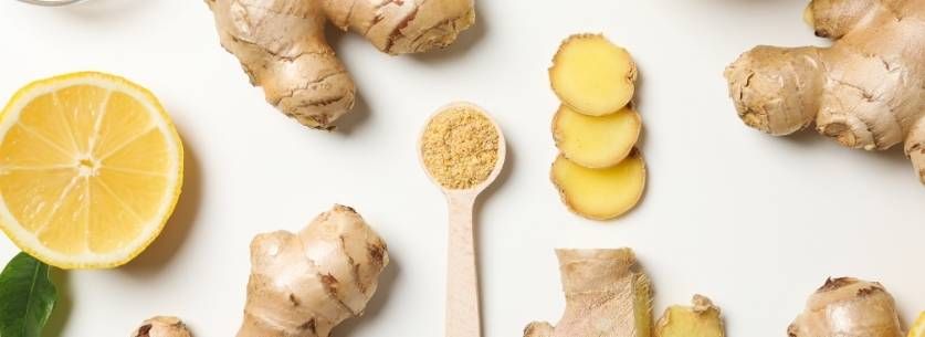 gingembre-plate-adaptogene