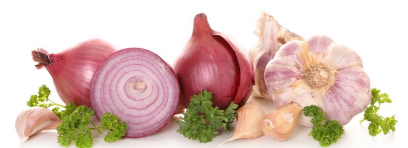 prebiotique-ail-oignon-poireau