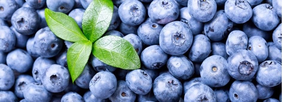 myrtille-fruit-anti-inflammatoire