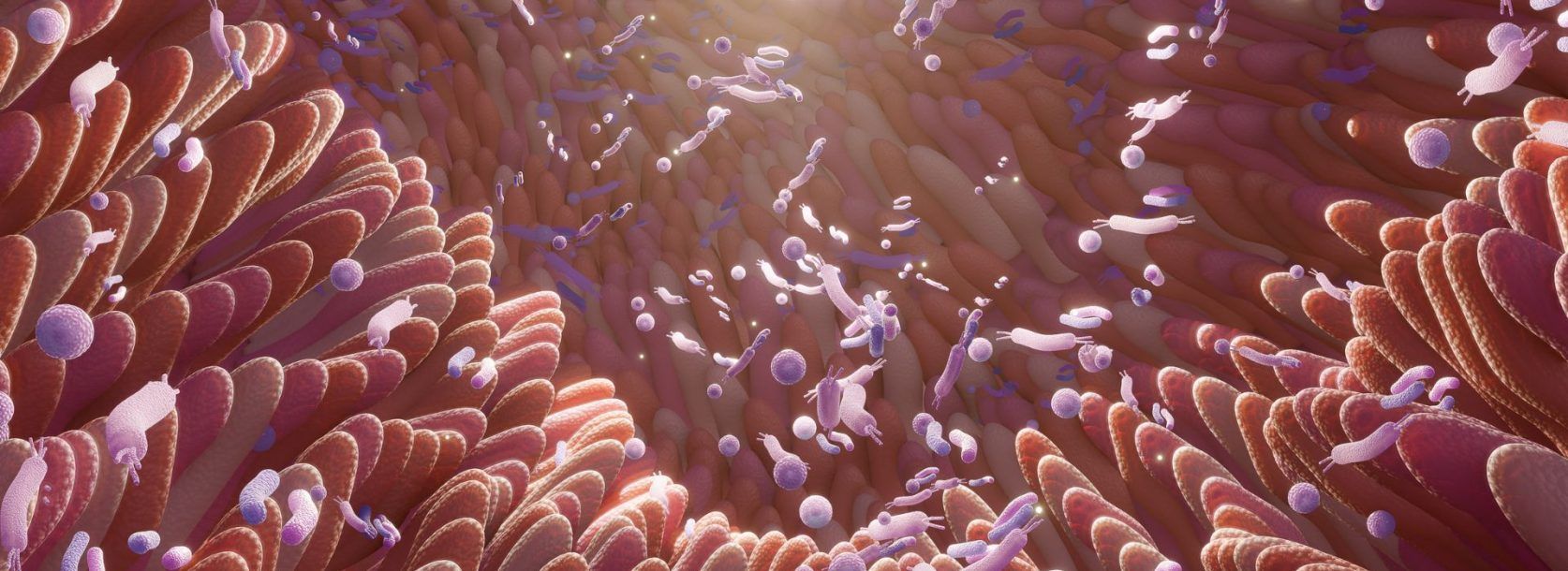 image-flore-intestinale