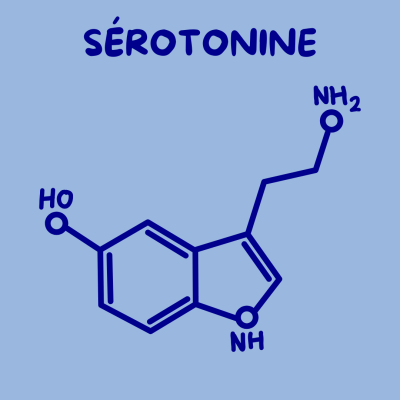 image-sérotonine