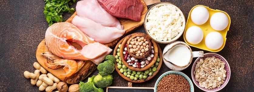 proteines-macronutriments-alimentation-decouverte-naturavignon