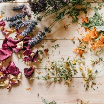 plantes-extraits-article-nutraceutique-naturavignon